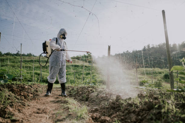 Best Ant Control Services  in Roland, IA