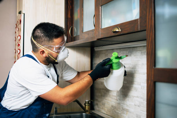 Best Bed Bug Extermination  in Roland, IA