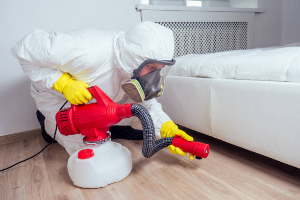 Best Affordable Pest Control Services  in Roland, IA