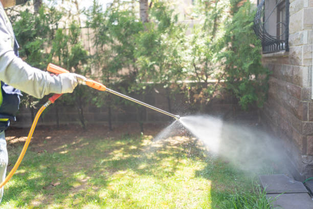 Best Mosquito Control Services  in Roland, IA