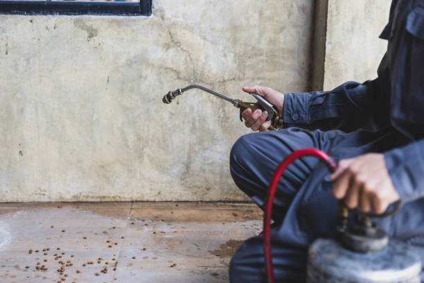 Best Wasp Removal Services  in Roland, IA